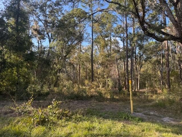 6355 TREIMAN BOULEVARD, Webster, FL 33597