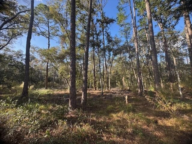 6355 TREIMAN BOULEVARD, Webster, FL 33597