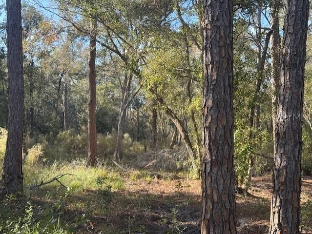 6355 TREIMAN BOULEVARD, Webster, FL 33597