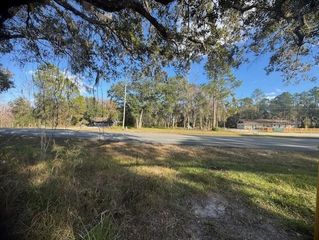 6355 TREIMAN BOULEVARD, Webster, FL 33597