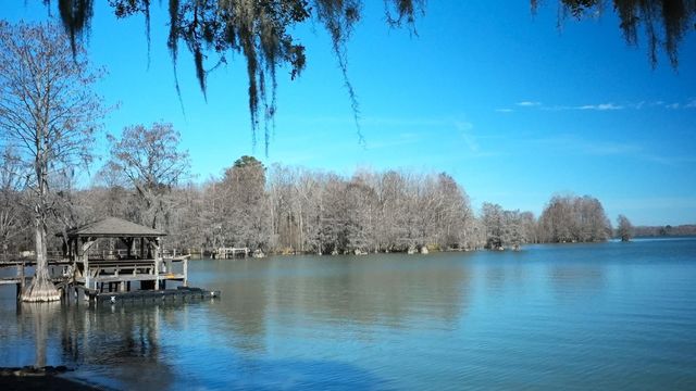 1036 Mulligan Drive, Manning, SC 29102
