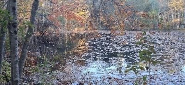 30 Wood Duck Road, Acushnet, MA 02743