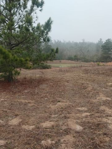 TBD County road 204, Centerville, TX 75833