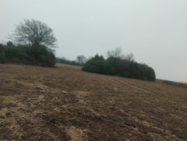 TBD County road 204, Centerville, TX 75833