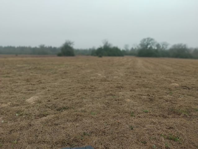 TBD County road 204, Centerville, TX 75833