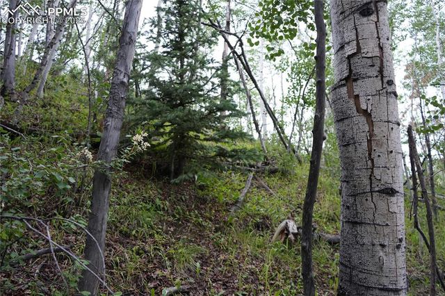 144 Goldfield Court, Cripple Creek, CO 80813