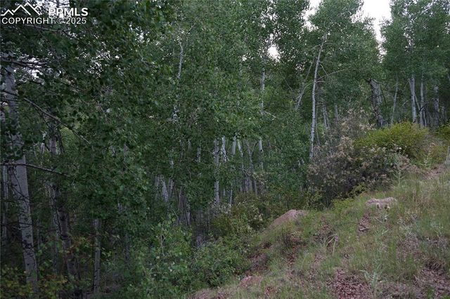 144 Goldfield Court, Cripple Creek, CO 80813