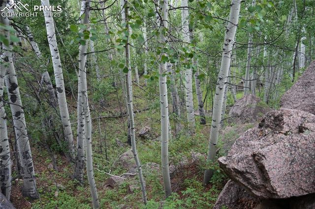 144 Goldfield Court, Cripple Creek, CO 80813