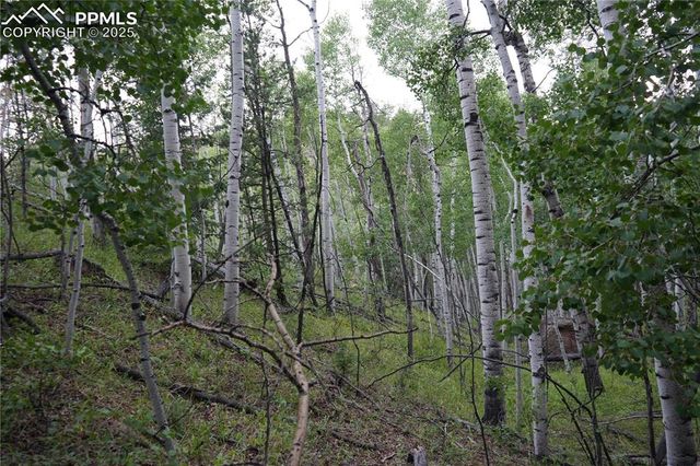 144 Goldfield Court, Cripple Creek, CO 80813