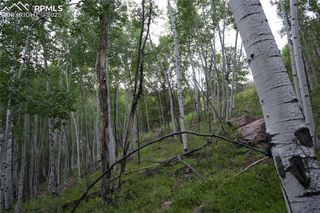 144 Goldfield Court, Cripple Creek, CO 80813