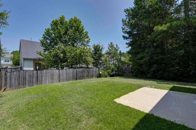 437 Lanyard Lane, Chapin, SC 29036