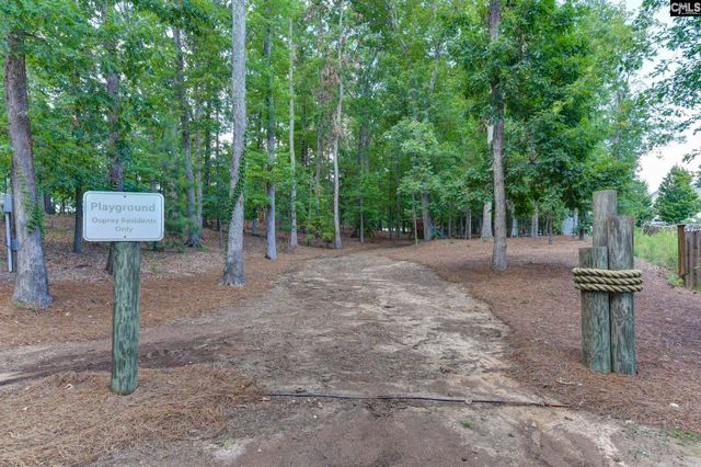 437 Lanyard Lane, Chapin, SC 29036