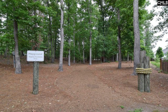 437 Lanyard Lane, Chapin, SC 29036