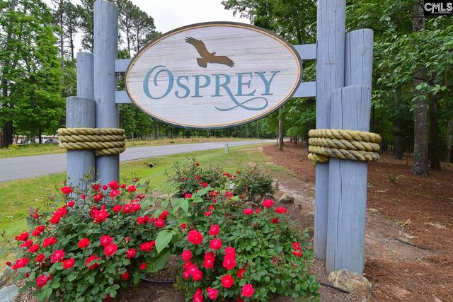 437 Lanyard Lane, Chapin, SC 29036