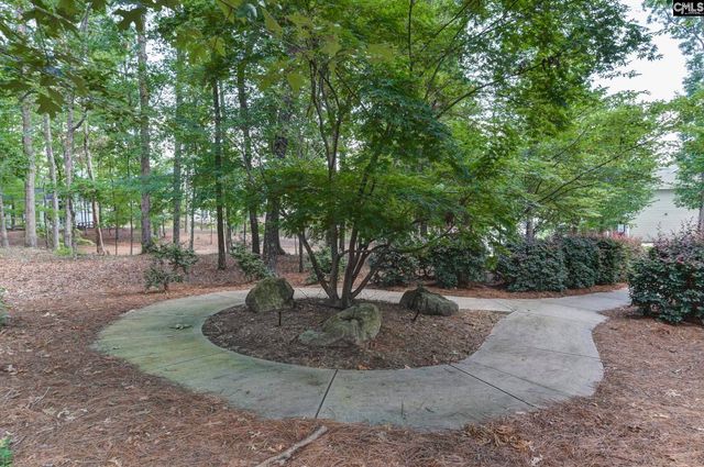 437 Lanyard Lane, Chapin, SC 29036