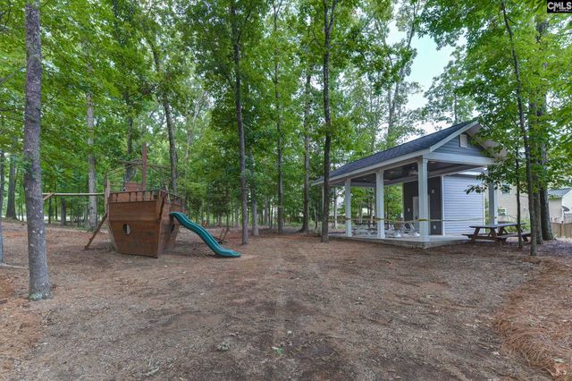 437 Lanyard Lane, Chapin, SC 29036