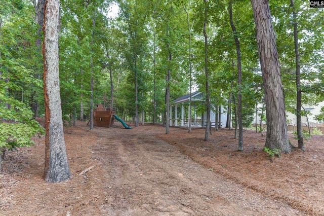 437 Lanyard Lane, Chapin, SC 29036