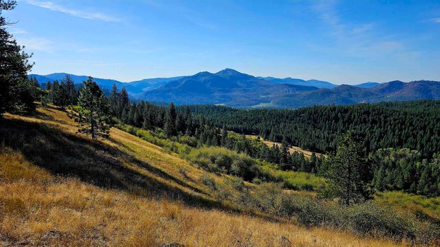 35XX Addy Cedonia Rd, Hunters, WA 99137 property photo
