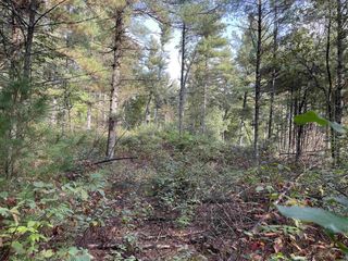 24486 Destiny Avenue, Tomah, WI 54660