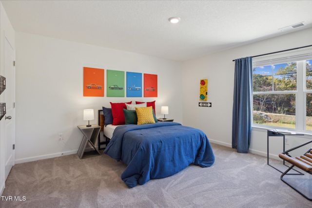 367 Alta Tree Blvd, Johnson City, TN 37604