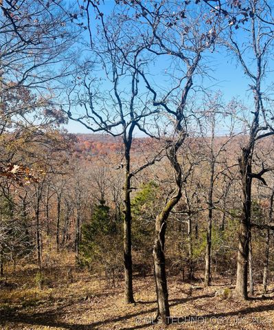 95398 S 4556, Vian, OK 74962