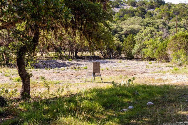 14910 Bullhead Rd, Rocksprings, TX 78880