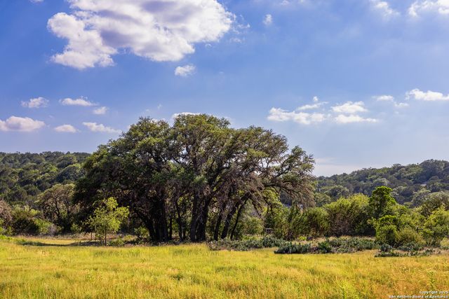 14910 Bullhead Rd, Rocksprings, TX 78880