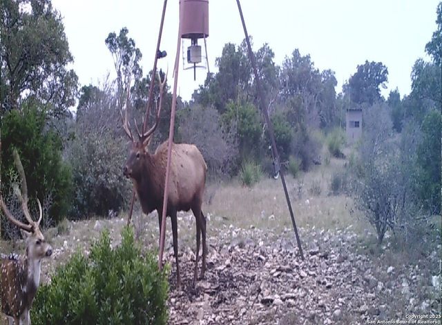 14910 Bullhead Rd, Rocksprings, TX 78880