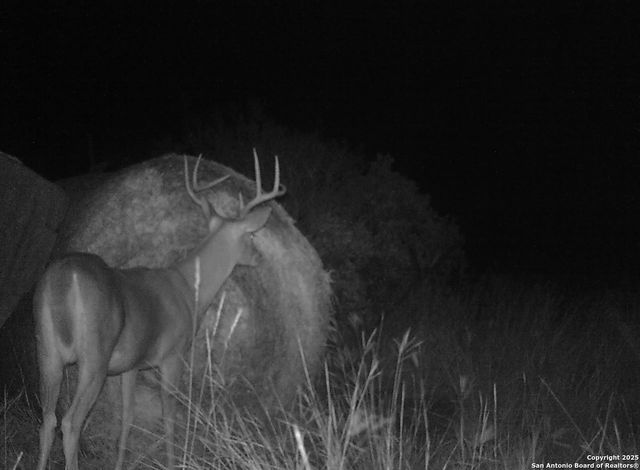 14910 Bullhead Rd, Rocksprings, TX 78880