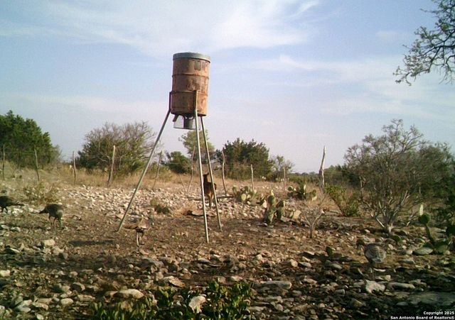 14910 Bullhead Rd, Rocksprings, TX 78880