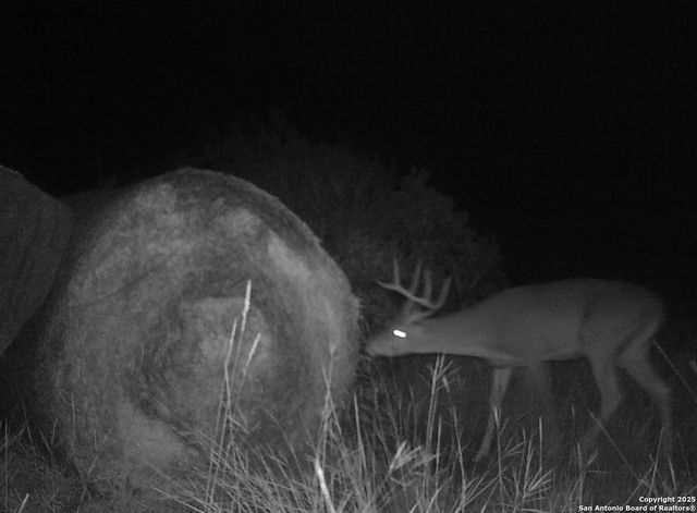 14910 Bullhead Rd, Rocksprings, TX 78880