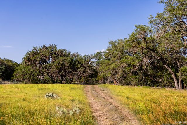 14910 Bullhead Rd, Rocksprings, TX 78880