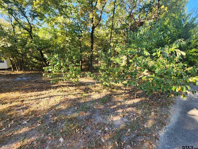 TBD PR 5816, Yantis, TX 75497