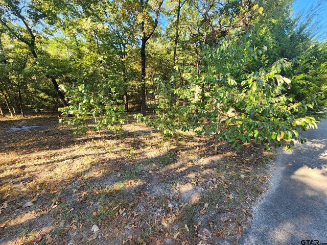 TBD PR 5816, Yantis, TX 75497