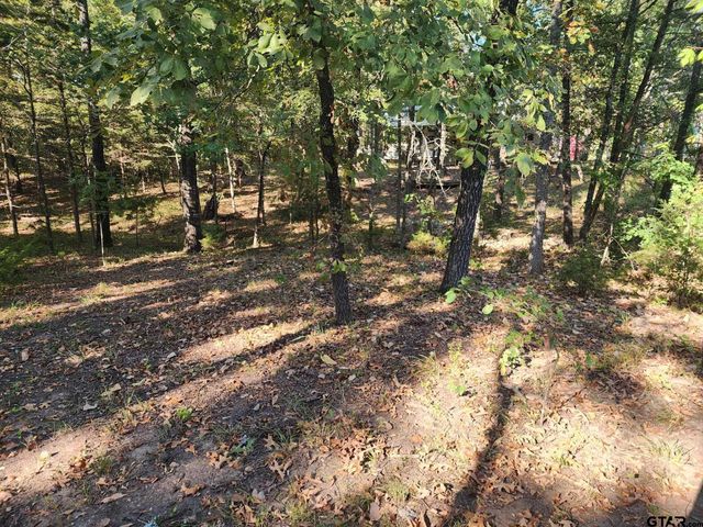 TBD PR 5816, Yantis, TX 75497