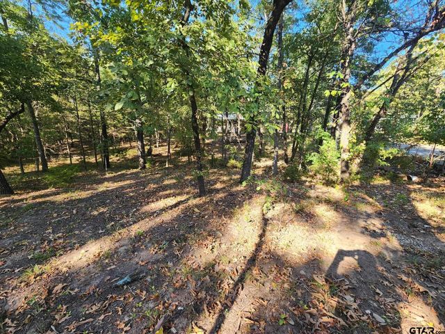 TBD PR 5816, Yantis, TX 75497
