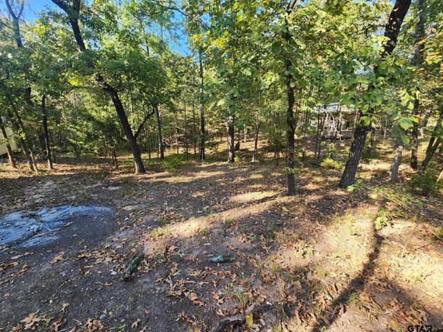 TBD PR 5816, Yantis, TX 75497