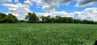 1900 Shinkles Ridge, Lewis Twp, OH 45121