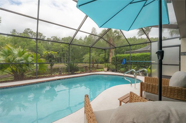 3654 DARSTON STREET, Palm Harbor, FL 34685