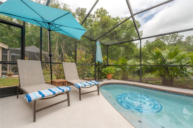 3654 DARSTON STREET, Palm Harbor, FL 34685