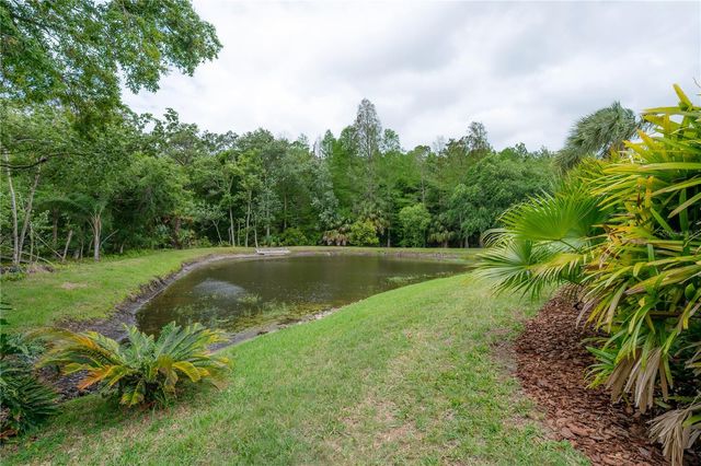 3654 DARSTON STREET, Palm Harbor, FL 34685