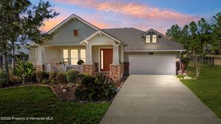 19531 Mossy Oak Court, Brooksville, FL 34601