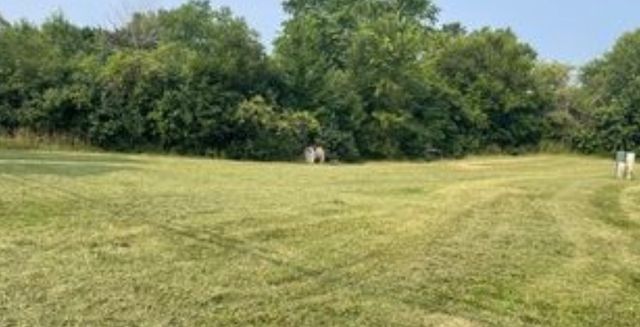 220 Bluff Court, Grayslake, IL 60030