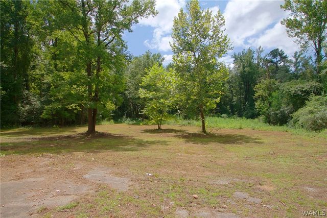 13039 Raintree, Duncanville, AL 35456