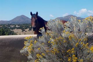 263 Camino Los Abuelos, Santa Fe, NM 87508