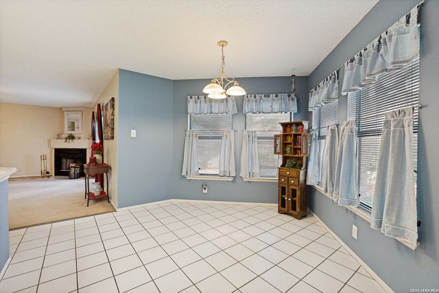 16659 Fallen Tree Dr, San Antonio, TX 78247