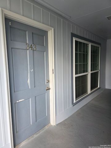 8401 N New Braunfels Ave Apt 343A, San Antonio, TX 78209