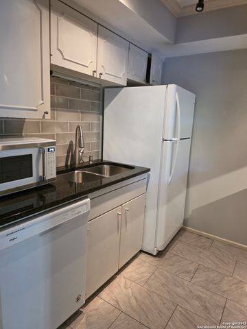 8401 N New Braunfels Ave Apt 343A, San Antonio, TX 78209