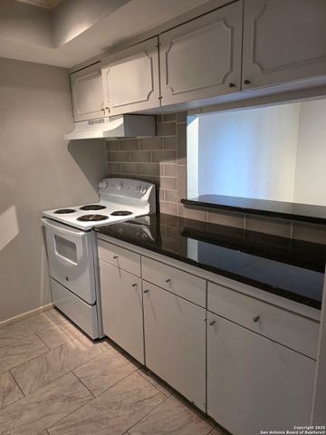 8401 N New Braunfels Ave Apt 343A, San Antonio, TX 78209