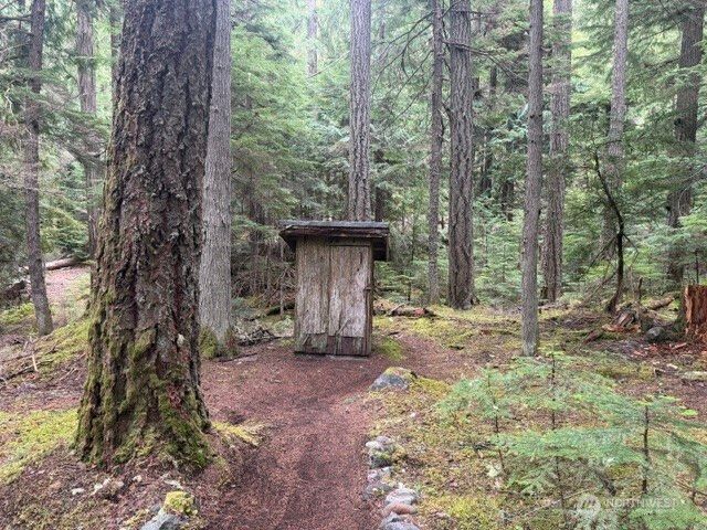 162 Silver Creek - USFS, Greenwater, WA 98022